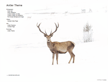 Tablet Screenshot of antler.shuttermade.com